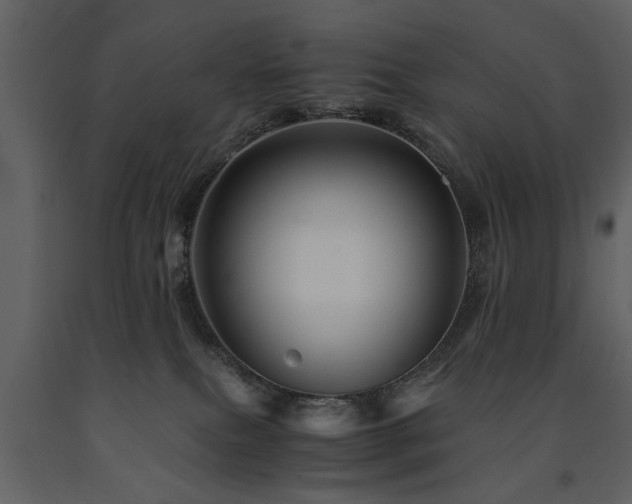 X0000091710087200708241257