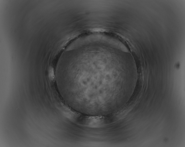 X0000091710089200708241257