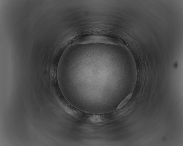 X0000091710091200708241257