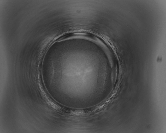 X0000091710097200708241256