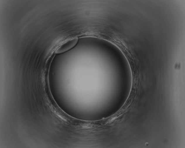 X0000091710098200708241256