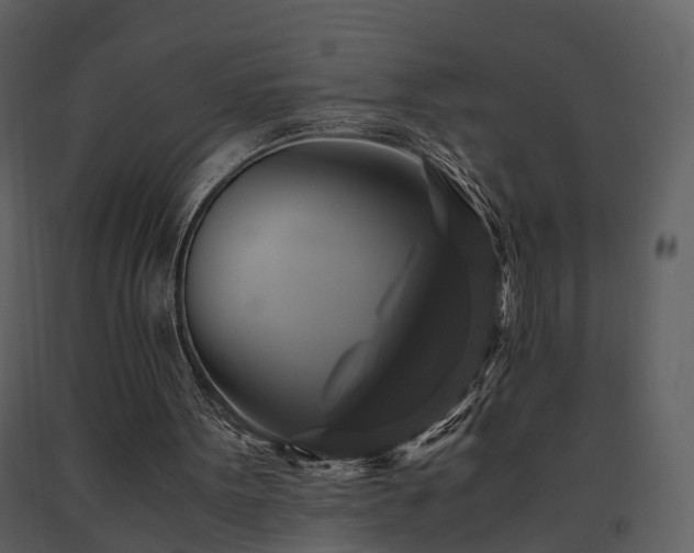 X0000091710099200708241256