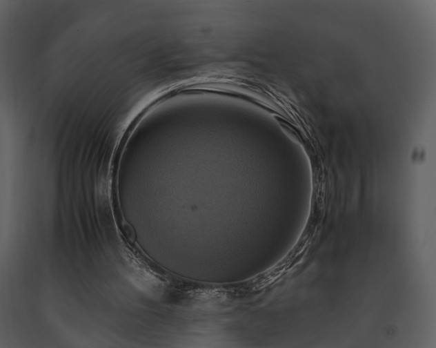 X0000091710100200708241256