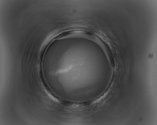 X0000091710101200708241256