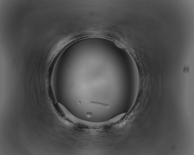 X0000091710103200708241256