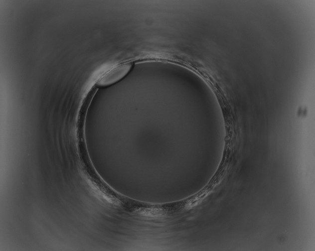 X0000091710104200708241256