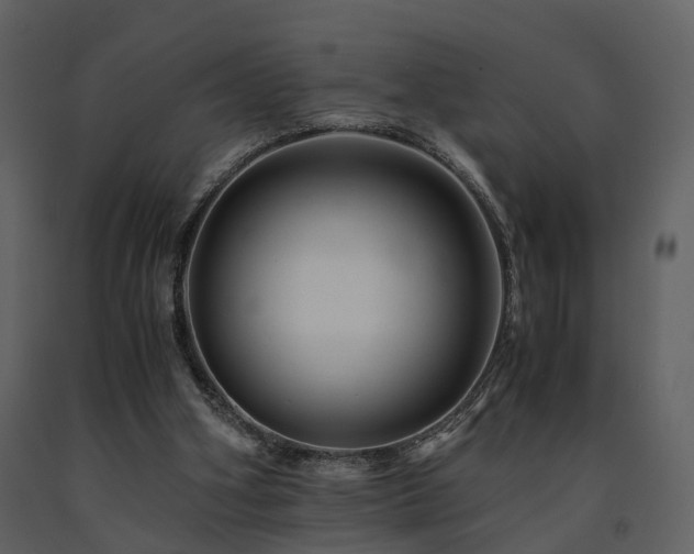 X0000091710106200708241256