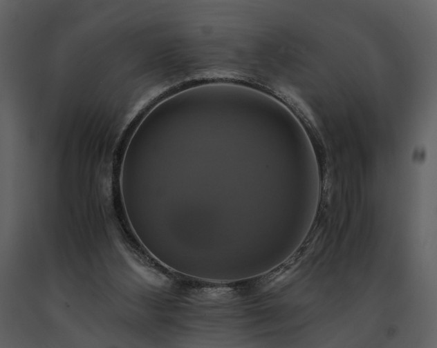 X0000091710108200708241256