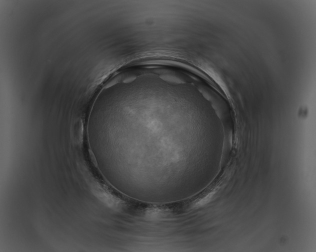 X0000091710109200708241256