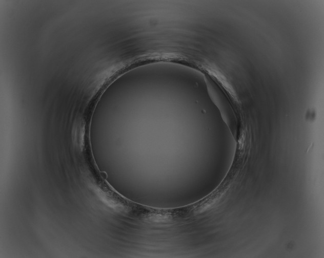 X0000091710110200708241256