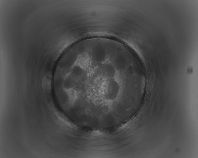 X0000091710111200708241256