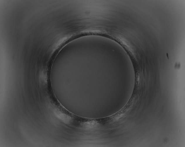 X0000091710112200708241256