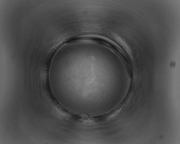 X0000091710113200708241256