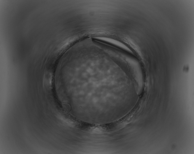 X0000091710115200708241256