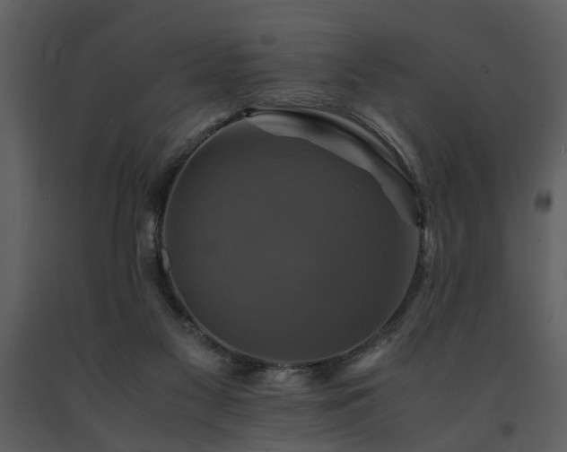 X0000091710117200708241256