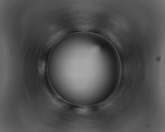 X0000091710118200708241256