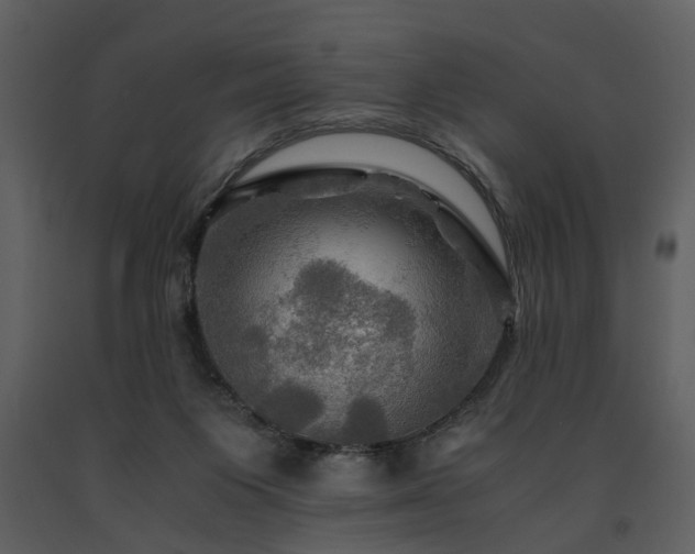 X0000091710119200708241256