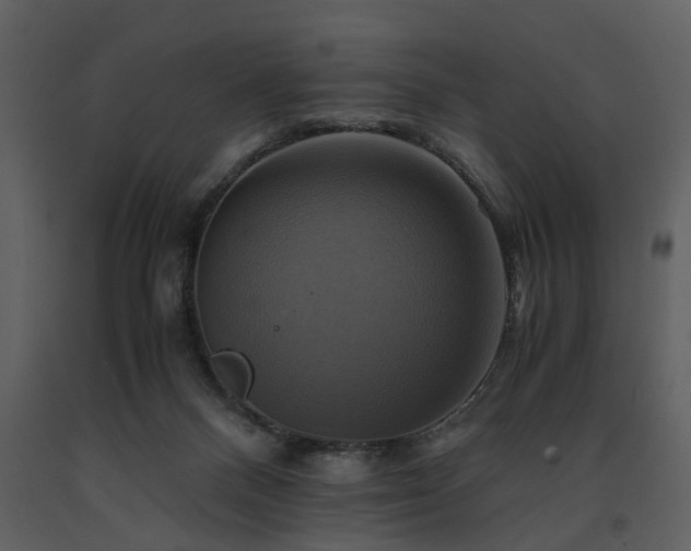 X0000091710120200708241256