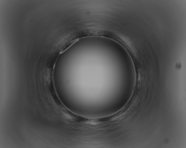 X0000091710121200708241256