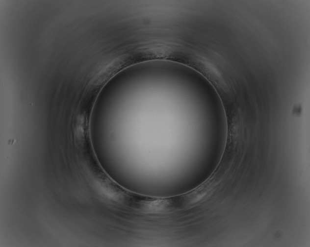 X0000091710122200708241256