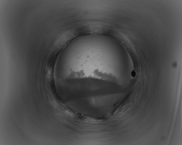 X0000091710123200708241256