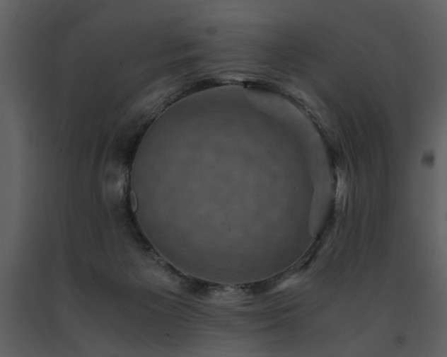 X0000091710125200708241256