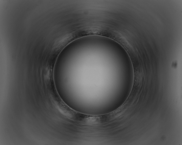 X0000091710126200708241256