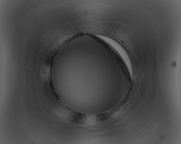 X0000091710127200708241256