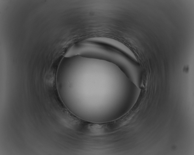 X0000091710129200708241256