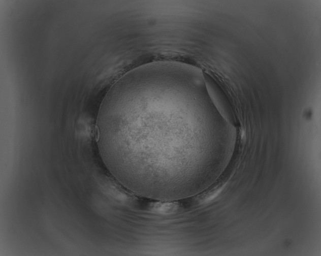 X0000091710135200708241256