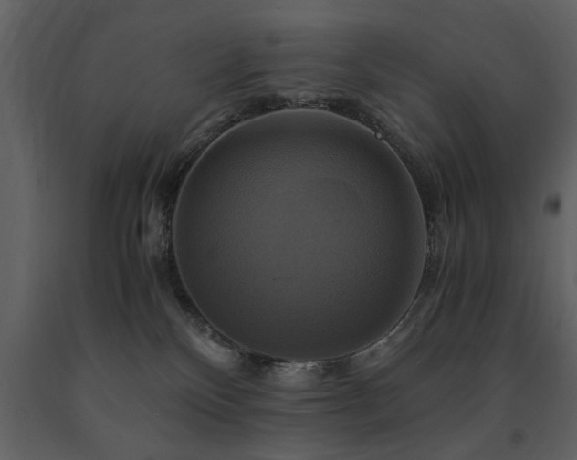 X0000091710136200708241256