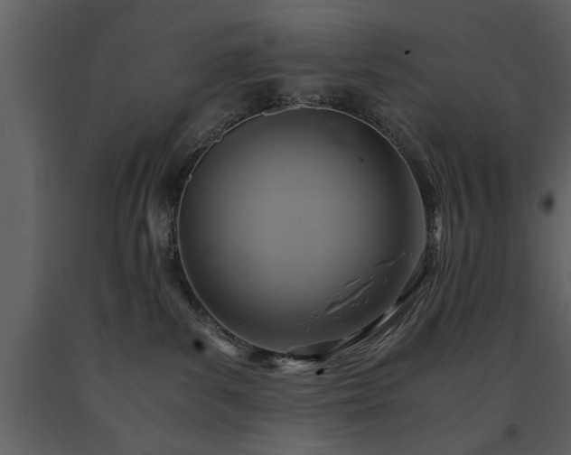 X0000091710139200708241256