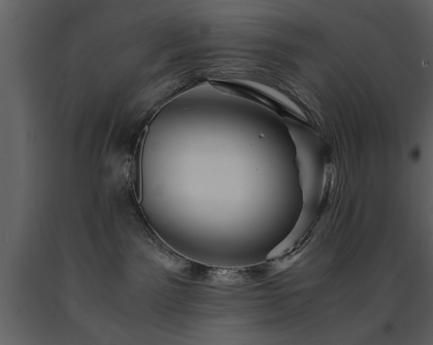 X0000091710141200708241256