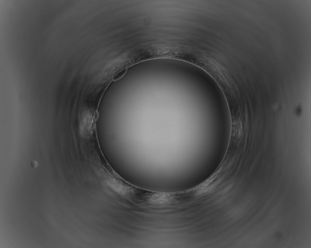 X0000091710142200708241256