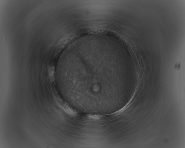 X0000091710144200708241256