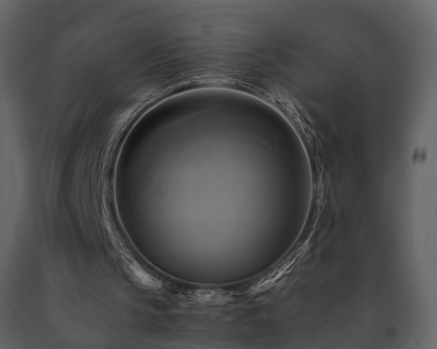 X0000091710145200708241255