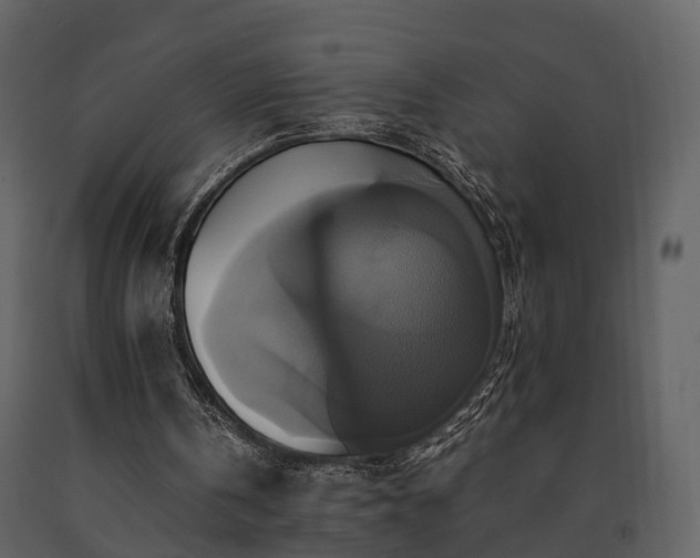 X0000091710146200708241255