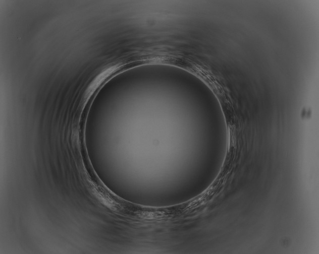 X0000091710147200708241255