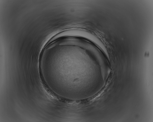 X0000091710148200708241255