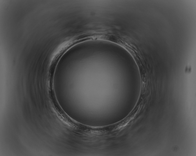 X0000091710149200708241255