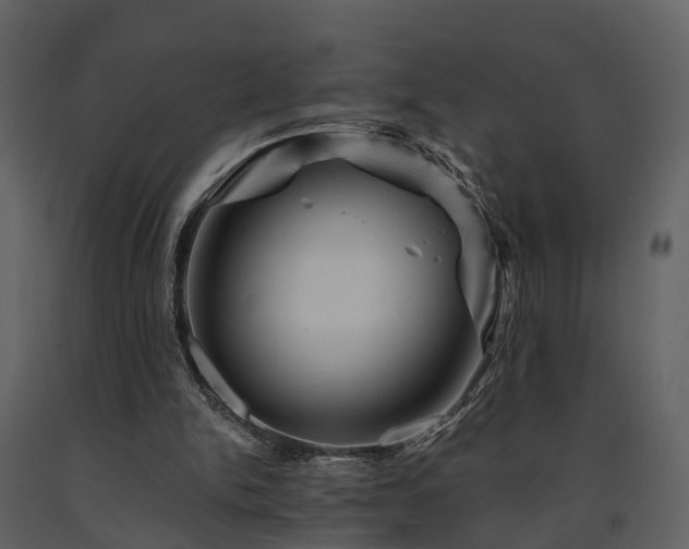 X0000091710150200708241255