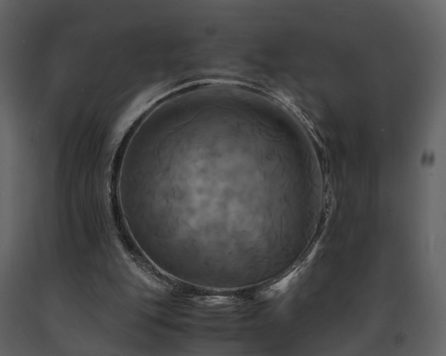 X0000091710151200708241255