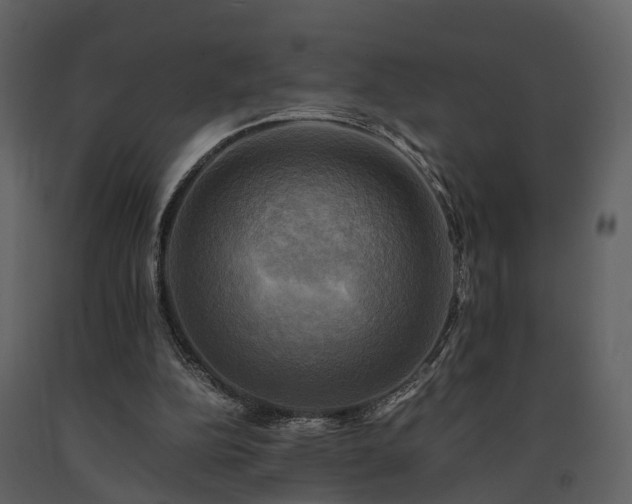 X0000091710152200708241255