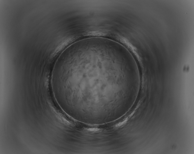 X0000091710153200708241255