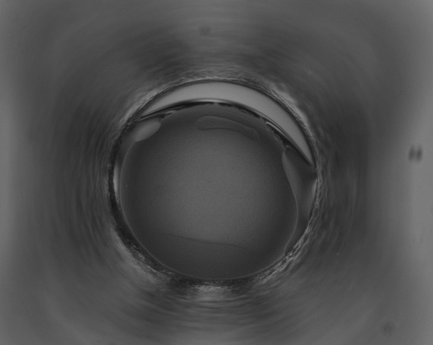 X0000091710154200708241255