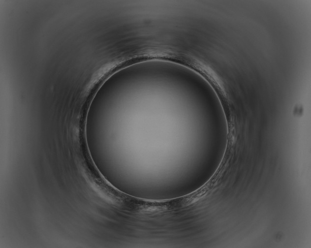 X0000091710155200708241255