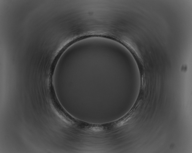 X0000091710156200708241255