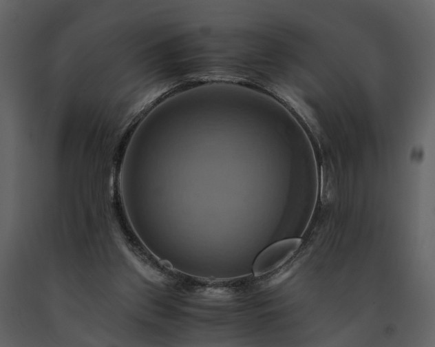 X0000091710157200708241255