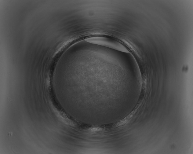 X0000091710158200708241255