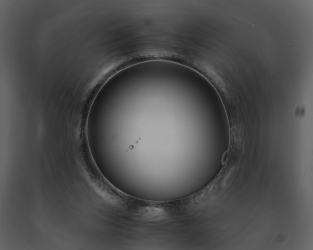 X0000091710159200708241255